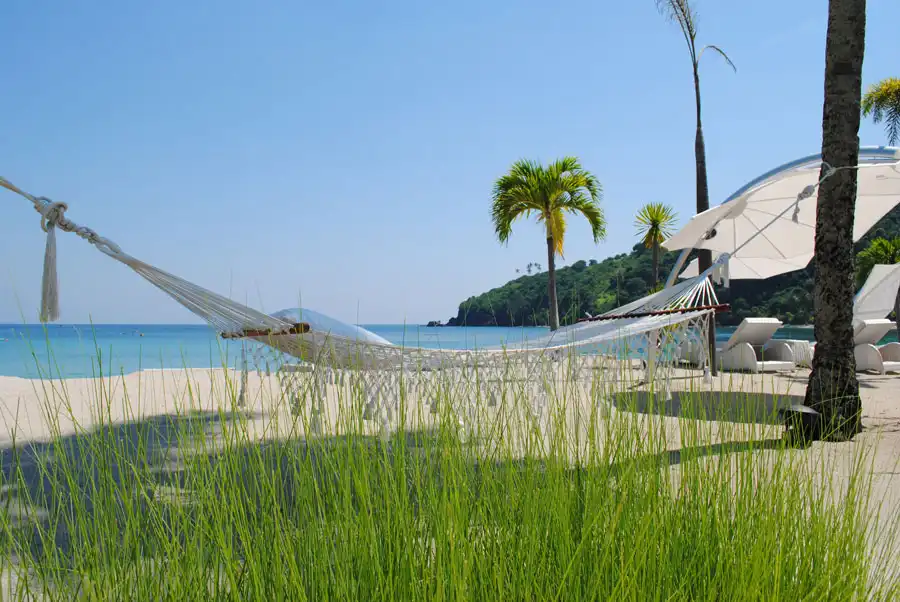 Gallery -  The Beach  - The Beach 1
