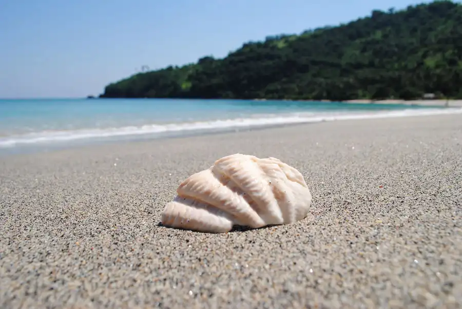 Gallery -  The Beach  - The Beach 2